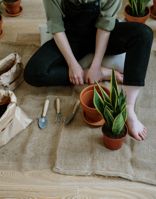 Ausgewählter Beitrag